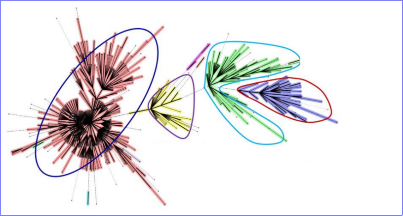 结核分枝杆菌快速分型溯源检测系统